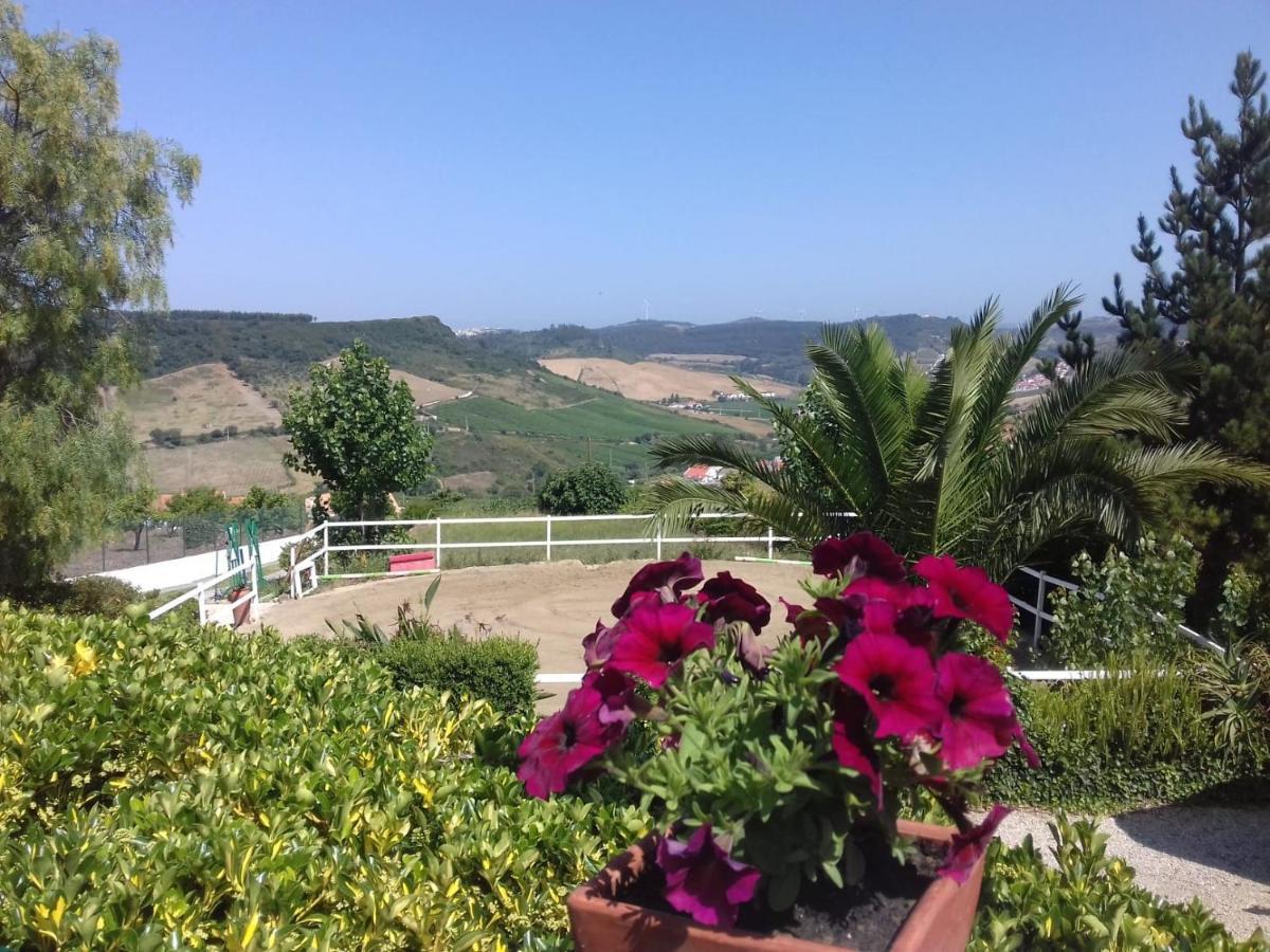Casinha De Campo- Quintinha Dos Cavalos- Arruda Dos Vinhos Kültér fotó