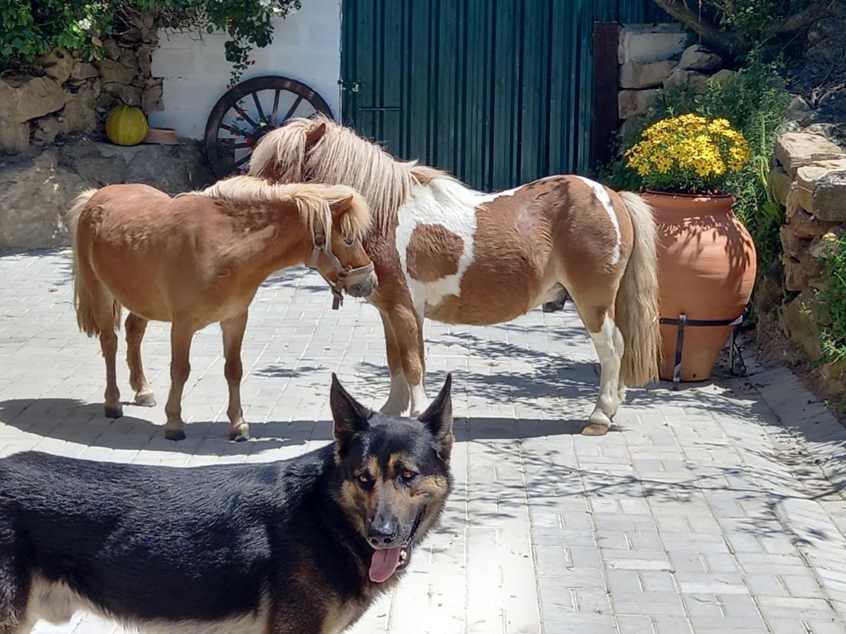 Casinha De Campo- Quintinha Dos Cavalos- Arruda Dos Vinhos Kültér fotó