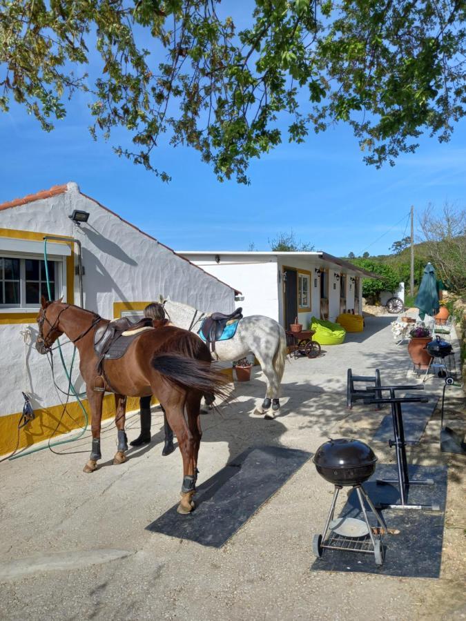 Casinha De Campo- Quintinha Dos Cavalos- Arruda Dos Vinhos Kültér fotó