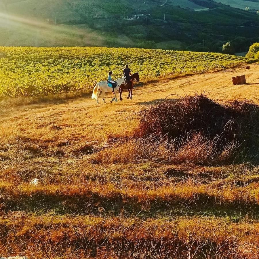 Casinha De Campo- Quintinha Dos Cavalos- Arruda Dos Vinhos Kültér fotó